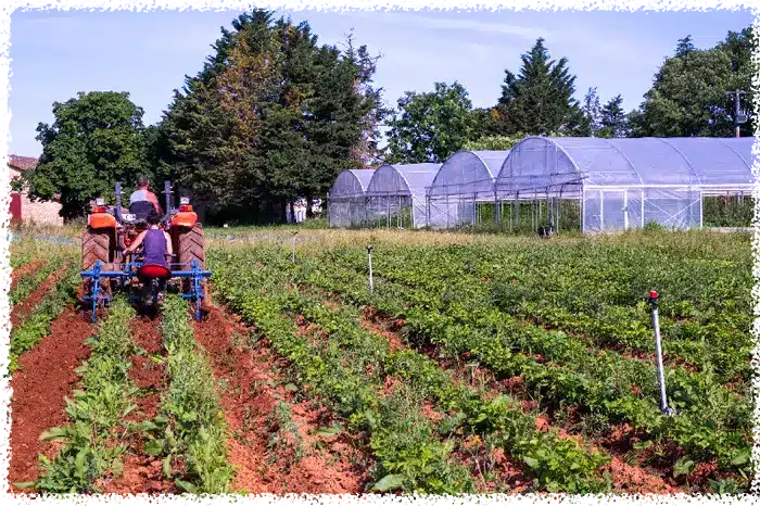 Insertion-alternative-prison-Ferme-Emmaus-Maisoncelle-2-credit-Laura-Huygues2